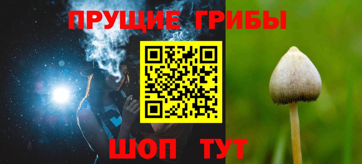 Галлюциногенные грибы GOLDEN TEACHER  Вход с VPN  Кубинка 